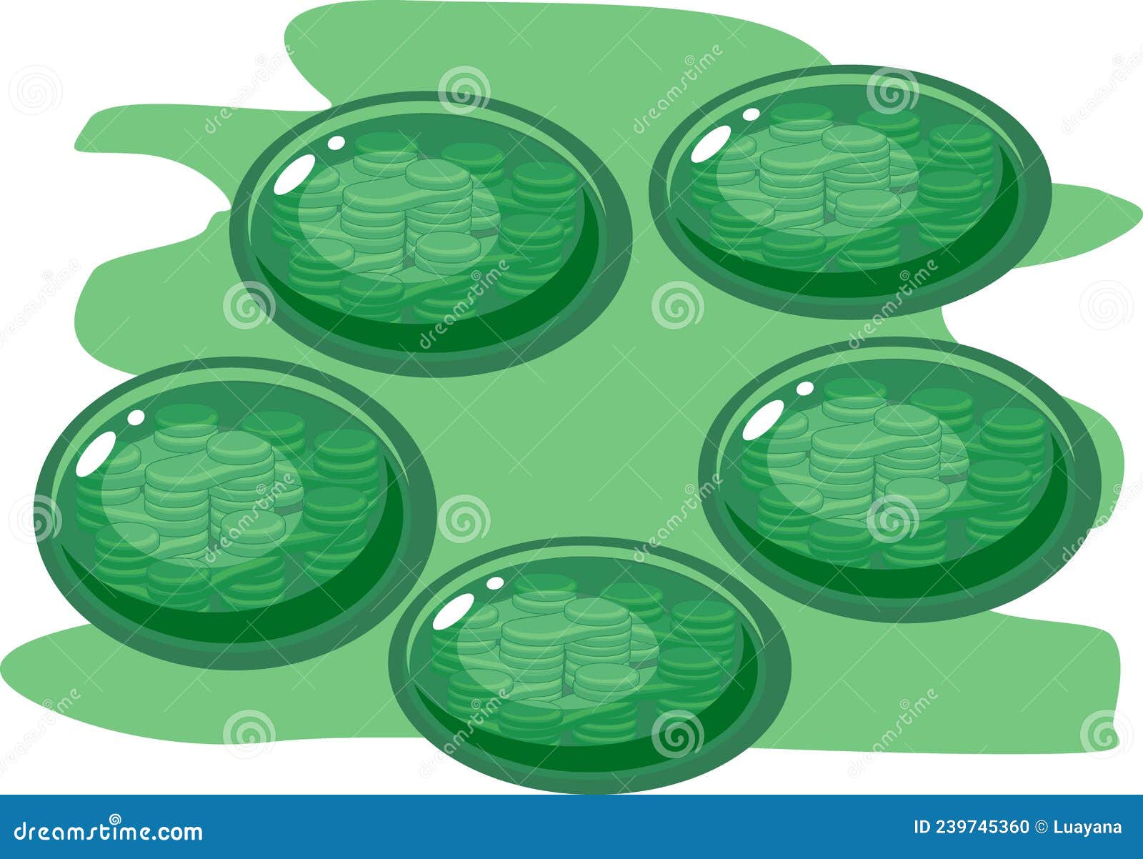 group of chloroplasts